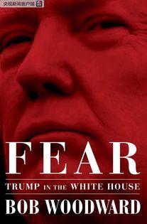 新闻爆料美国事件,揭秘背后真相与影响 第3张 新闻爆料美国事件,揭秘背后真相与影响 第3张